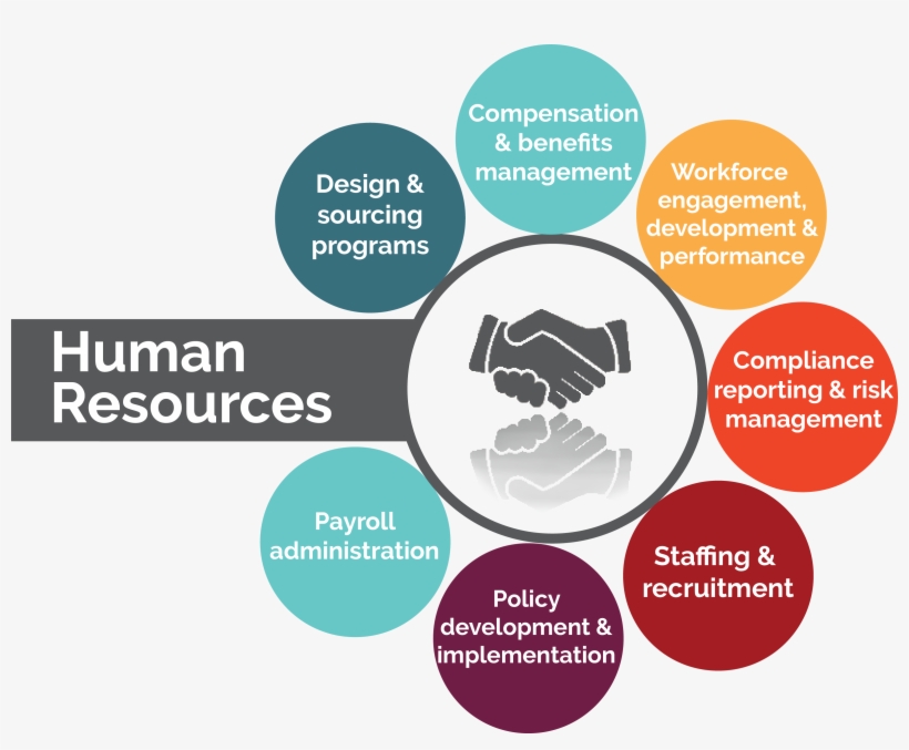 Macc Provides The Expertise Of A Full Human Resource - Human Resources, transparent png #4315125