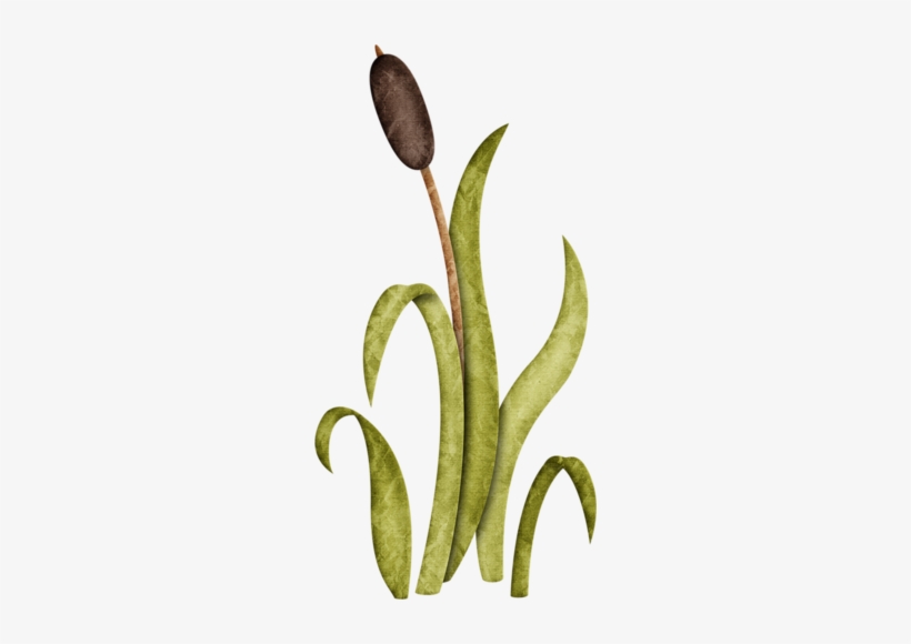Jss Happycamper Cattail 2 - Illustration, transparent png #4315127