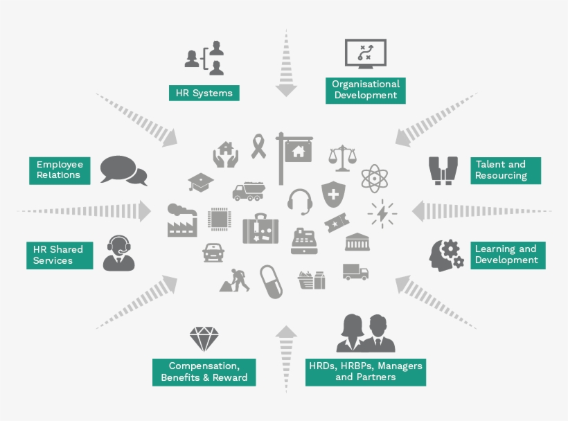 Human Resources Recruitment Infographic - Graphic Design, transparent png #4315755