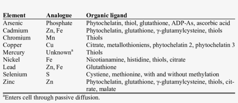 Summary Of Elements And The Element-organic Complexes - Light Sources, transparent png #4316278