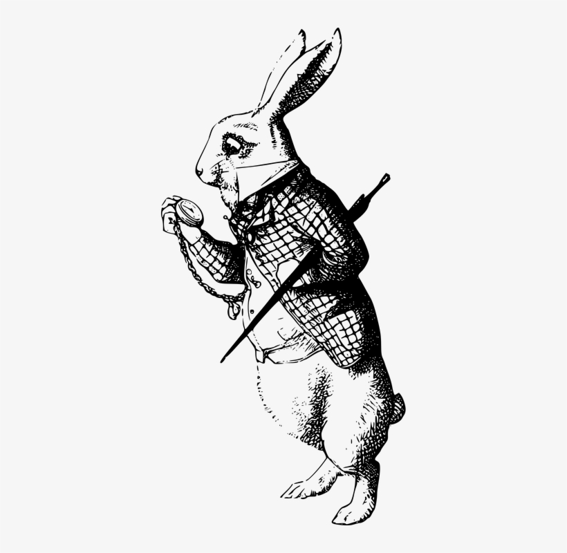 Alice In Wonderland Rabbit, transparent png #4316606