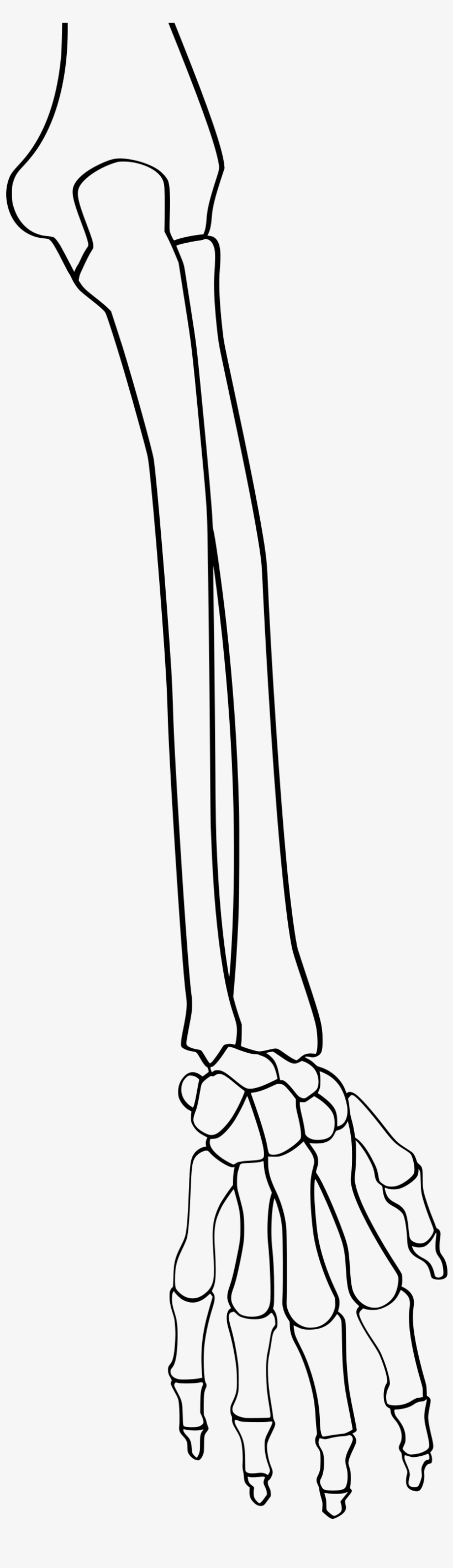 Open - Wikimedia Commons, transparent png #4317552
