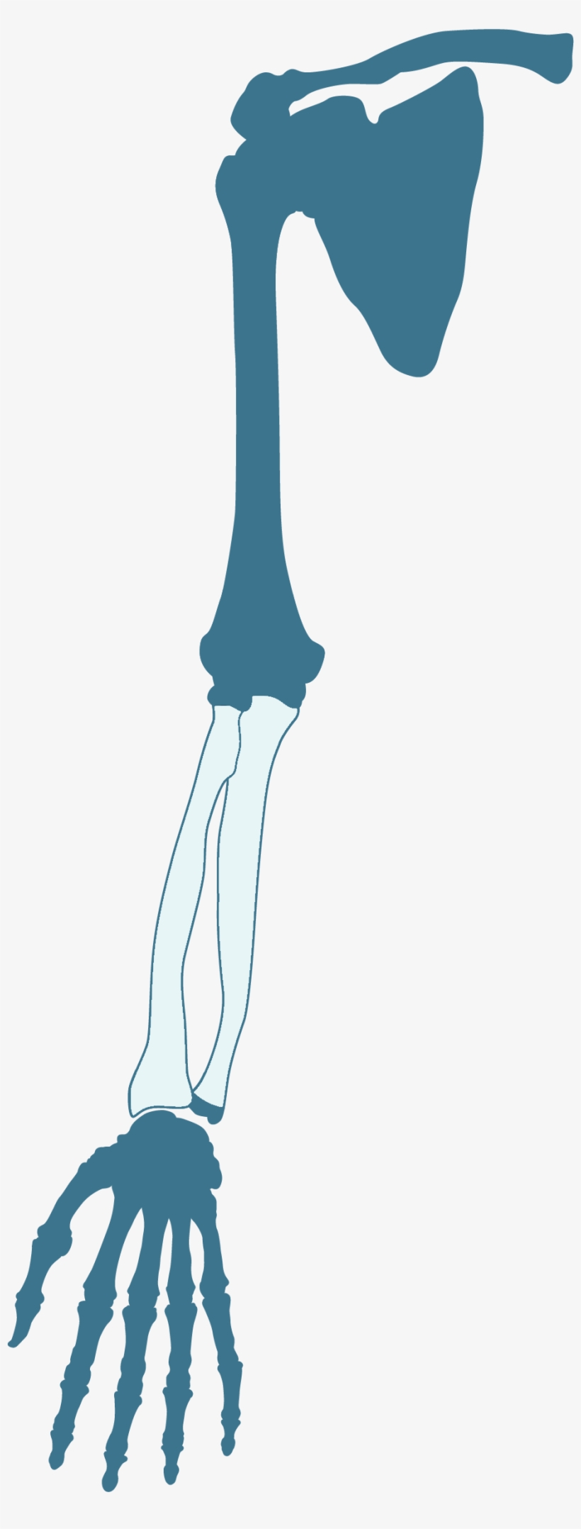 Illustration, transparent png #4318328
