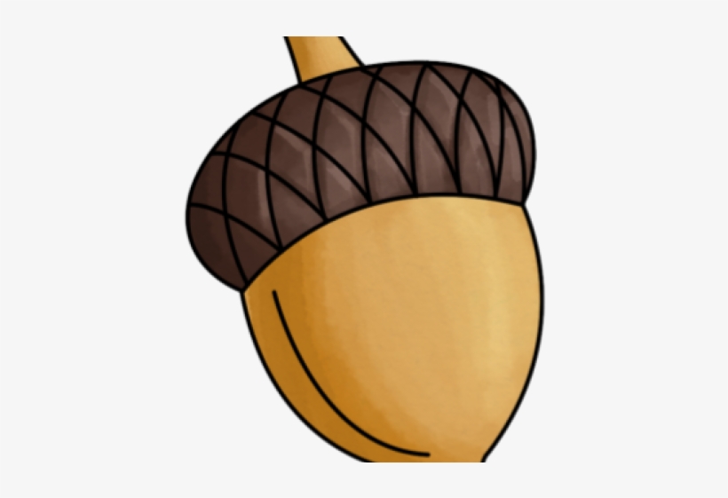 Fall Nuts Clipart, transparent png #4318512