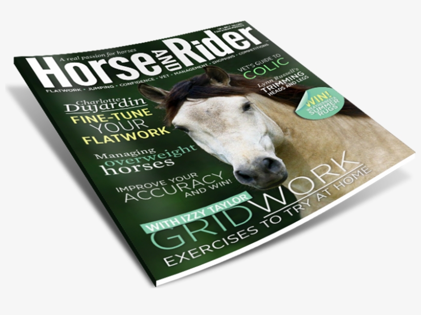Latest Issue - Horse, transparent png #4318958