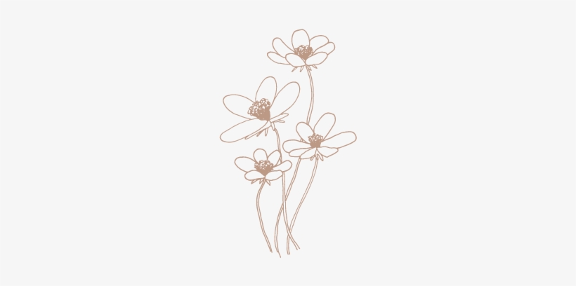 Color-cosmos - Portable Network Graphics, transparent png #4320082