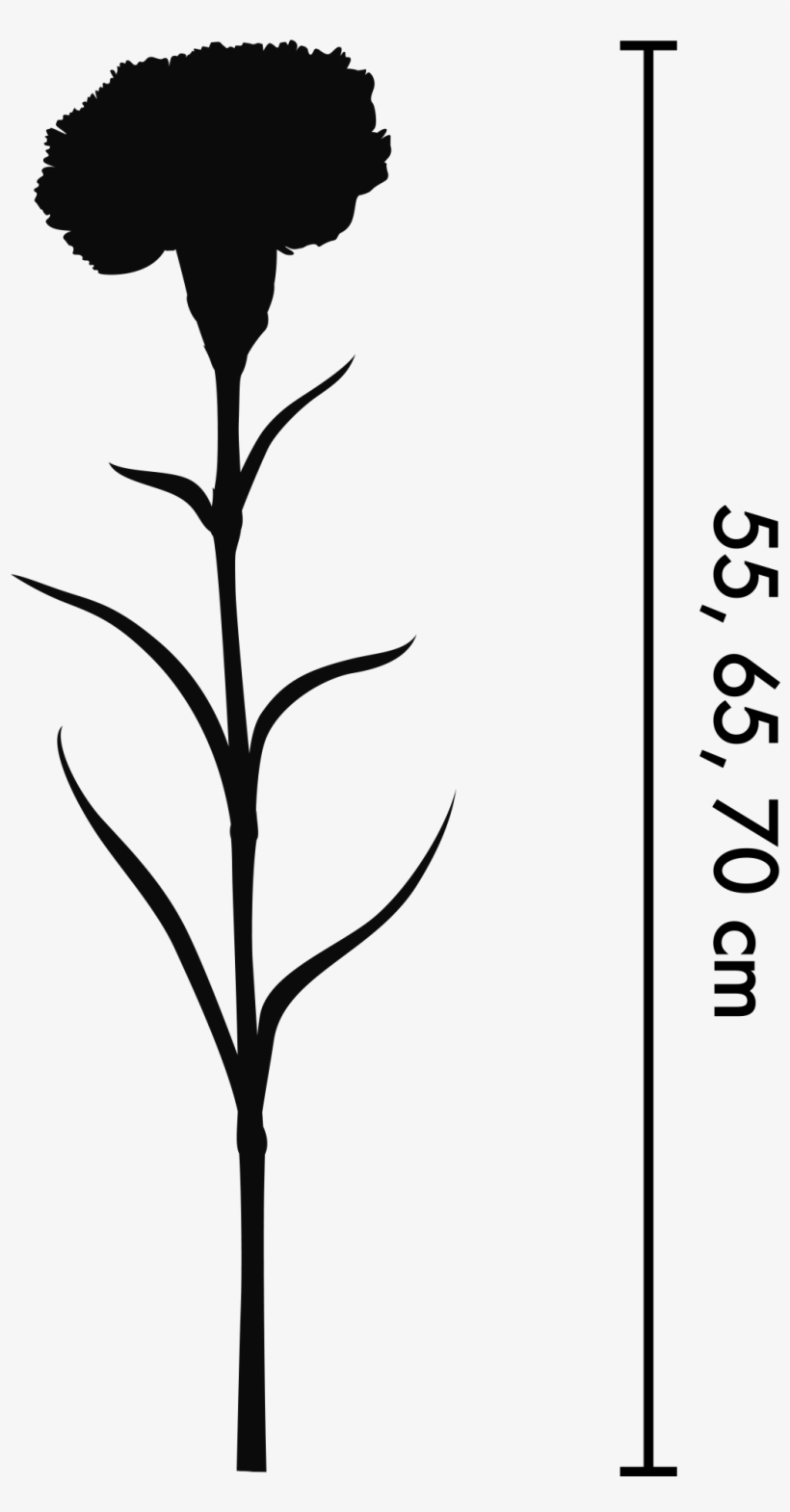 We Offer Different Packs Based On Different Grades - Silhouette, transparent png #4320214