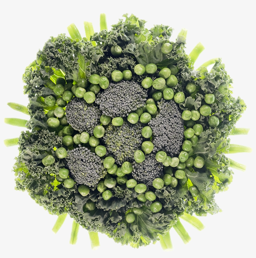 Sensory Based Food Education Given To 3 5 Year Old - Food, transparent png #4320958