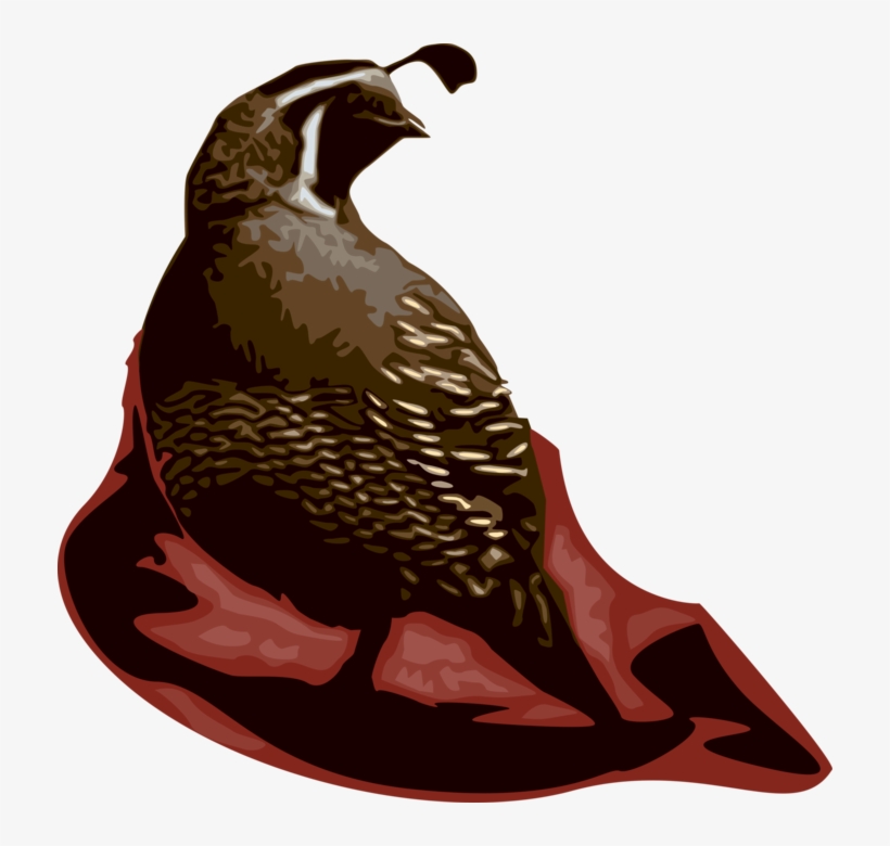 Vector Illustration Of Quail Bird Farm-raised For Table - Common Quail, transparent png #4321549