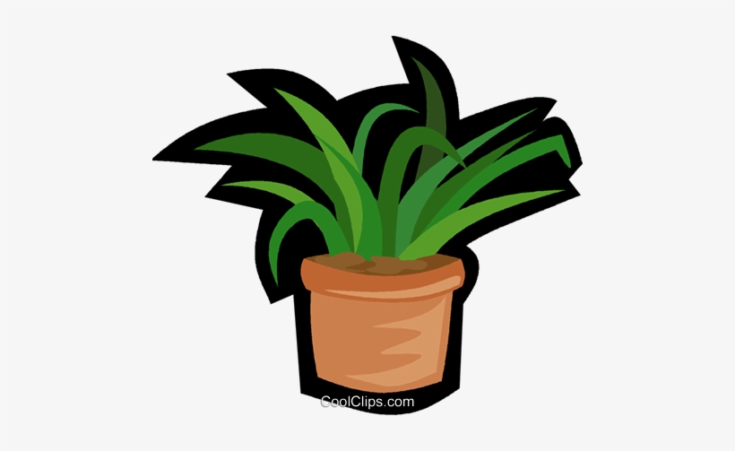 House Plant, Yucca Plant Royalty Free Vector Clip Art - House Plant Clip Art, transparent png #4321652