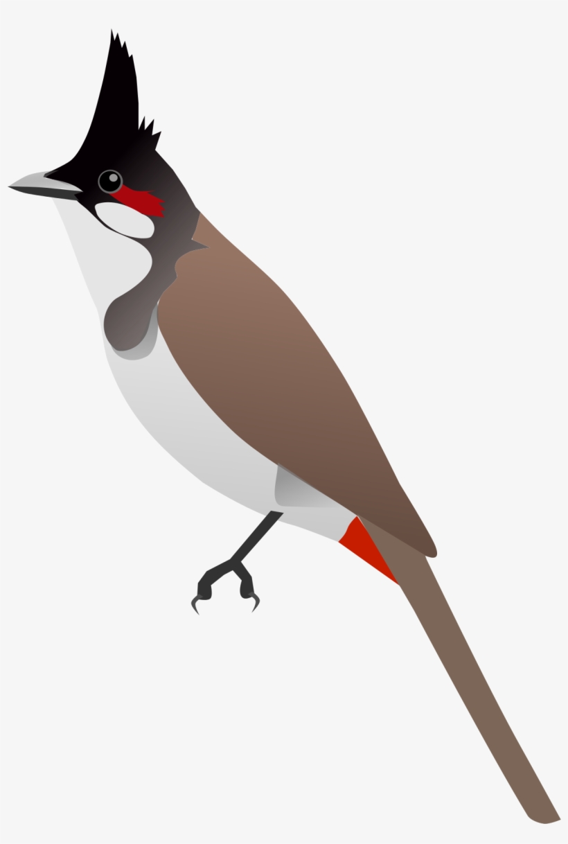 Open - Bulbul Png, transparent png #4321701