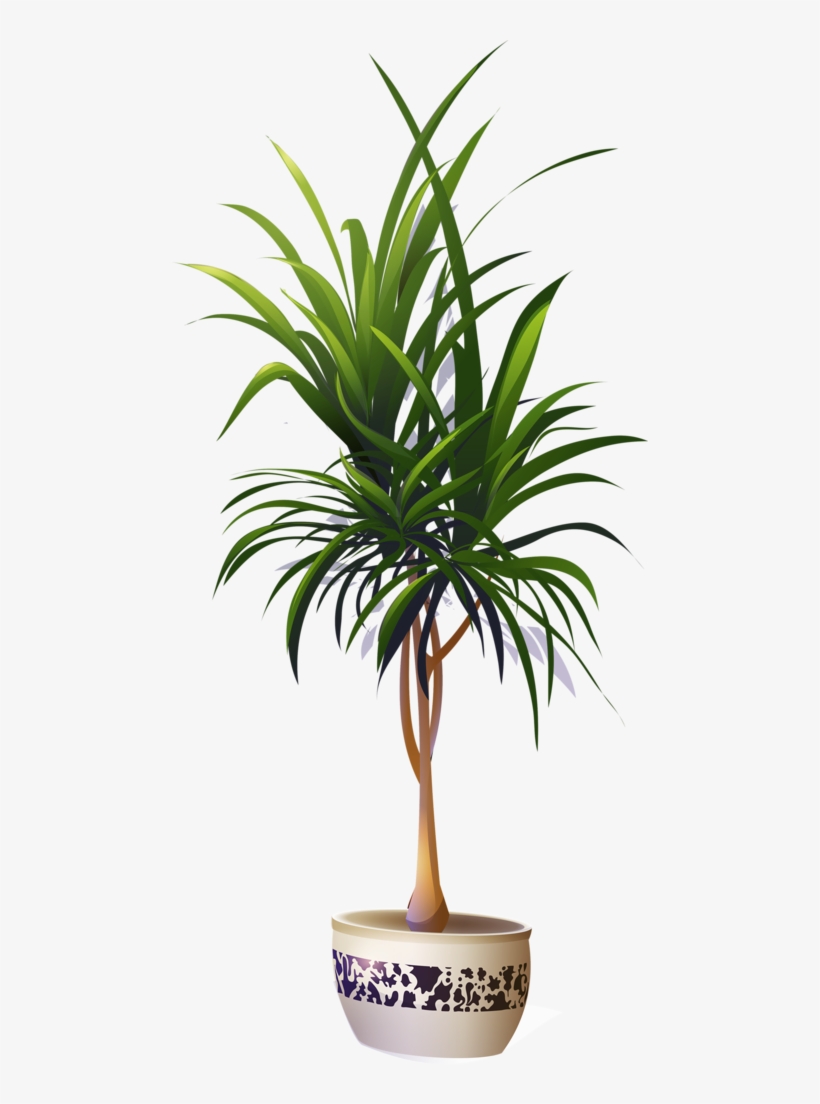 1 - Clipart Palm Potted, transparent png #4321825
