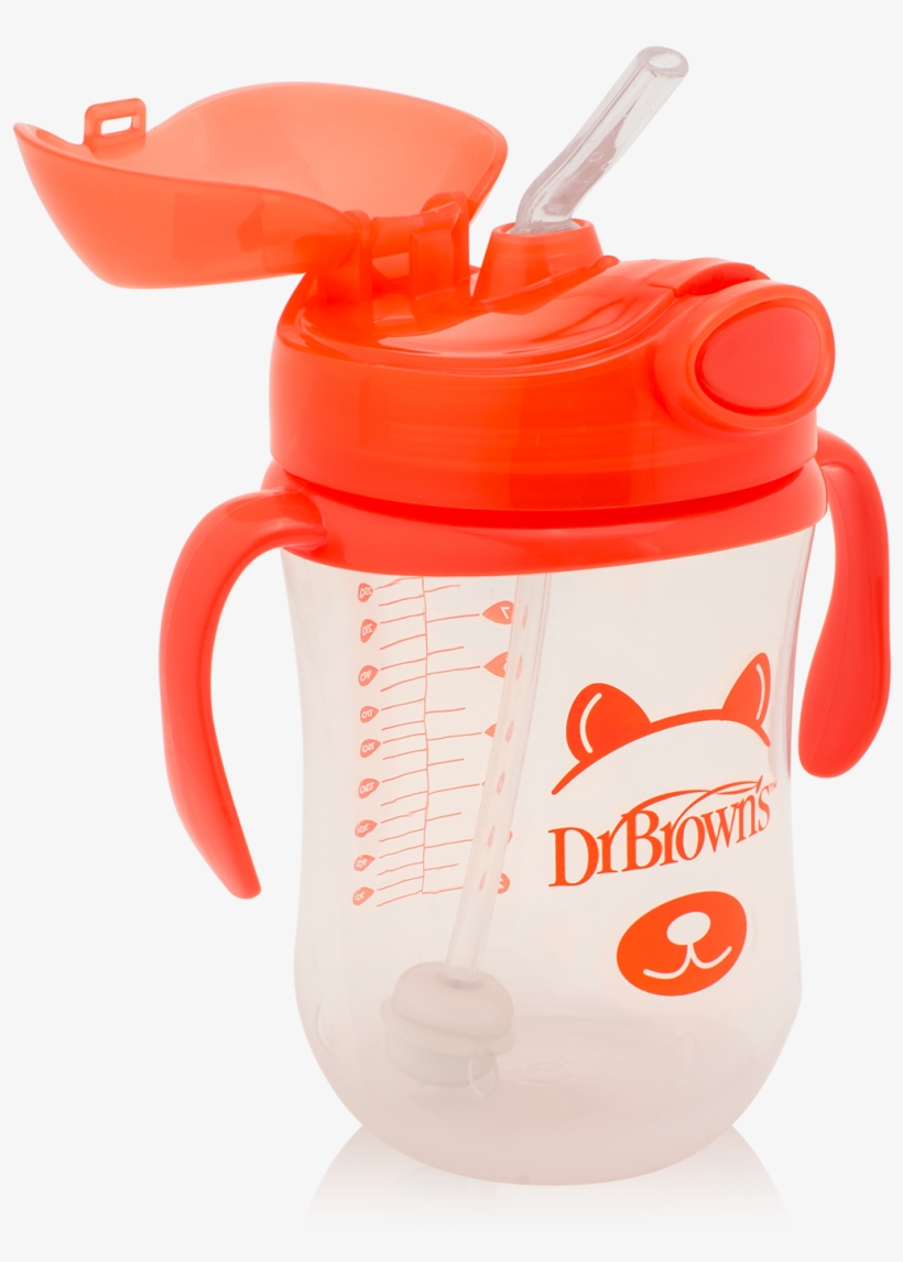 Tc91013 Product 3q Weighted Straw Cup 12m Orange Bear - Dr Browns, transparent png #4322061