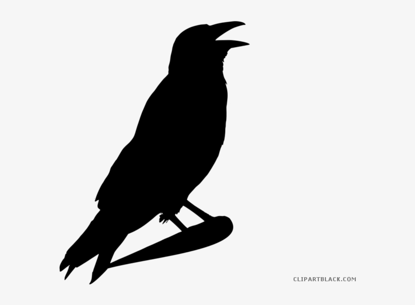 Crow Clipart, transparent png #4323659