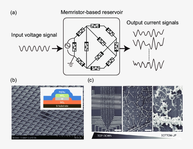 Rc Based On A Memristor Network - Memristor, transparent png #4323665
