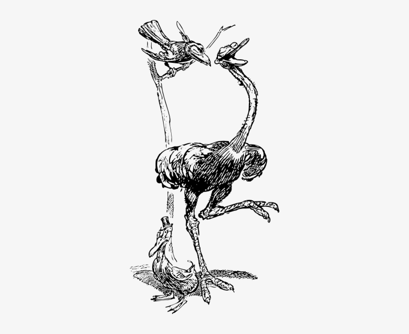 Original Png Clip Art File Ostritch And Crow Cartoon, transparent png #4323969