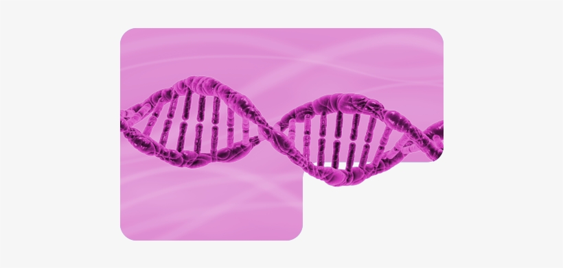 If A Person Has A Relative Who Is An Alcoholic, He - Pruebas Adn, transparent png #4324039