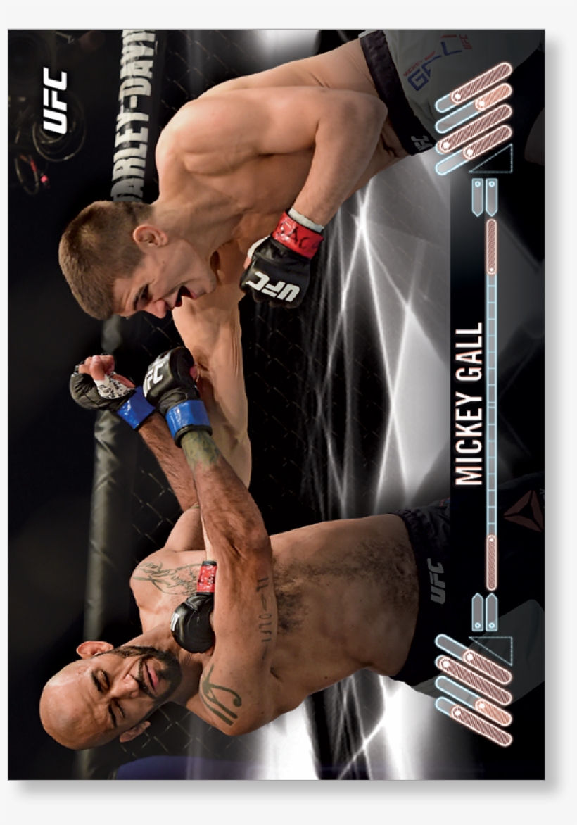 Ultimate Fighting Championship, transparent png #4324578