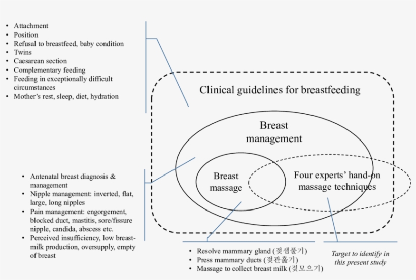 Research Scope Of This Multi-case Analysis Study - Formula 1, transparent png #4324698