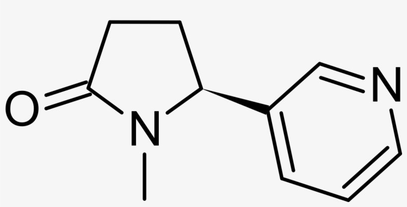 Chemical Structure Of Succinimide, transparent png #4325381