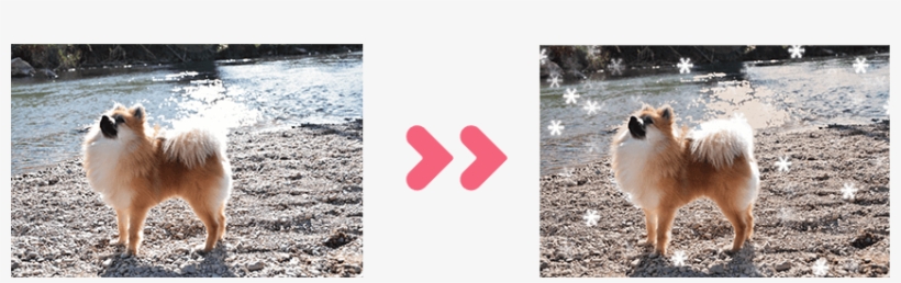 Programas Para Editar Fotos Gratis En Español - Photography, transparent png #4325717