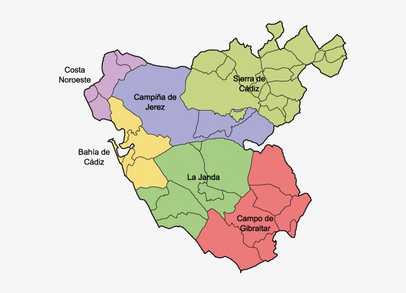 Political And Traditional Subdivisions - Provincia De Cádiz, transparent png #4326729