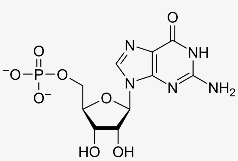 Open - Ganciclovir Triphosphate, transparent png #4327022