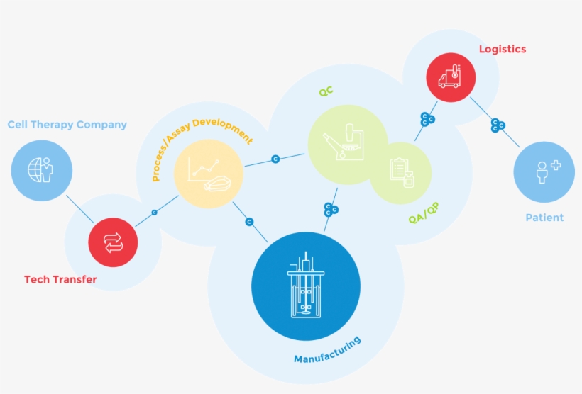 In Addition To Significant Expertise, Our Agile Gmp - Masthercell, transparent png #4327151