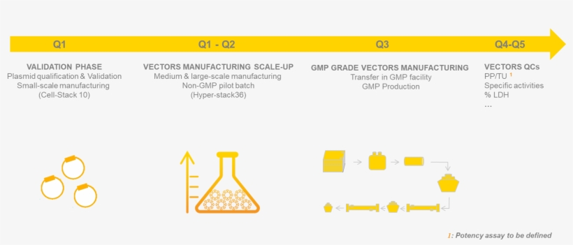 Gmp Production Process - Production, transparent png #4327194