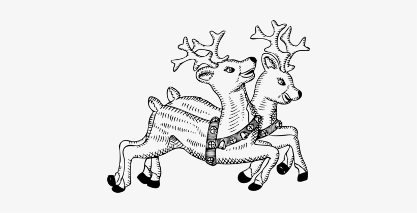 Christmas Tree Black And White Santa Claus Coloring - Christmas Deer Black And White, transparent png #4329676