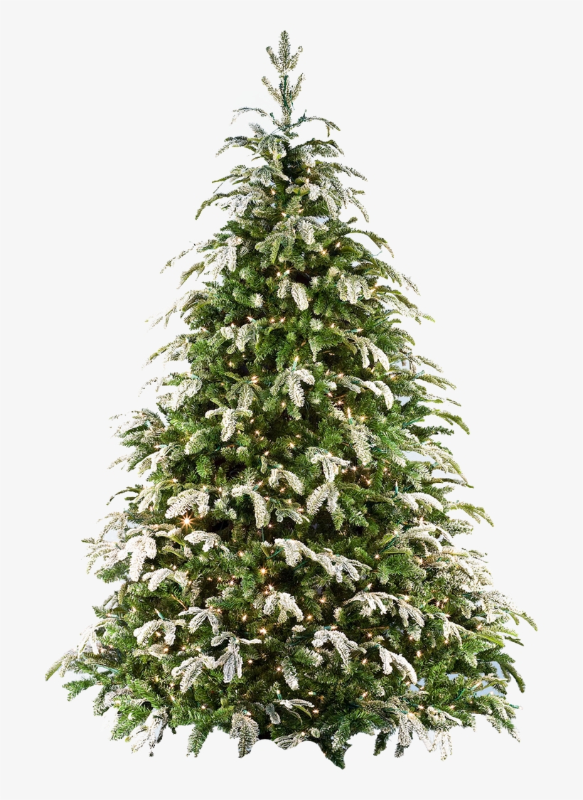 Xmas Tree Png 17 By Iamszissz - Arbol De Navidad Png, transparent png #4331497