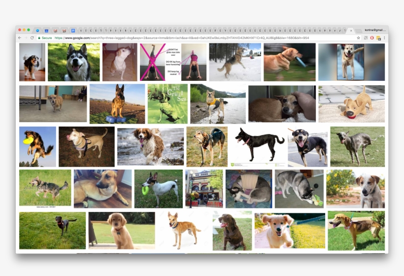 3-legged Doge - - Plus Laid Du Monde, transparent png #4332320