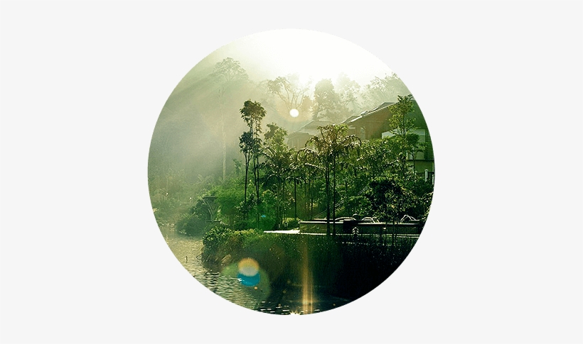 Forest Park And Crafted Landscape - Forest Circle Png, transparent png #4333532
