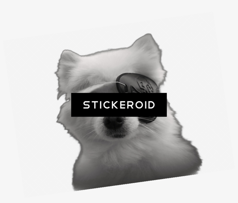 Gabe - Houston Problem, transparent png #4334394