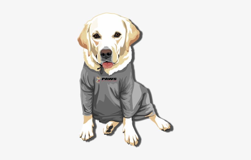 Experienced San Diego Plumbers - Paws Plumbing, transparent png #4334487