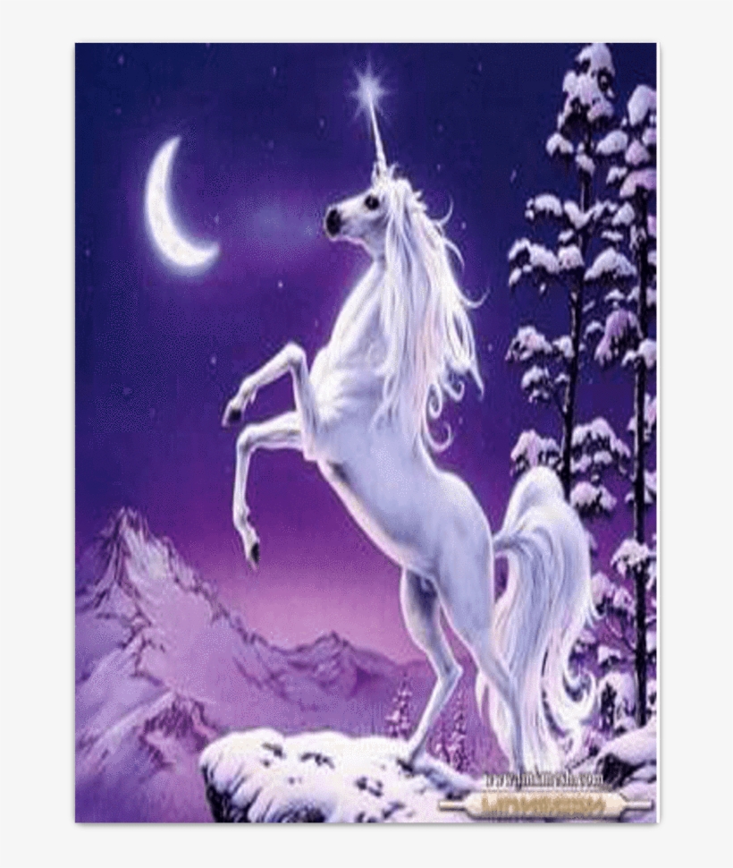 Poster Unicornio - Bliss Unicorn Necklace With Pendant, transparent png #4334856