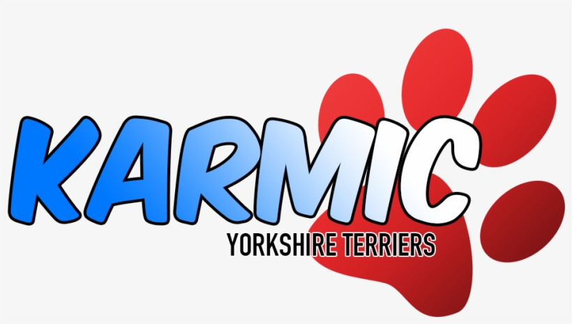 Gabriel - South Africa, transparent png #4335006