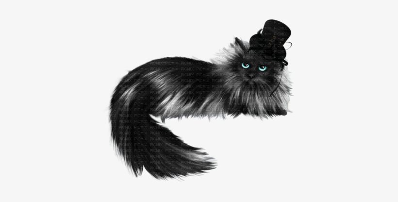 Cat In The Hat - Goth Subculture, transparent png #4337134