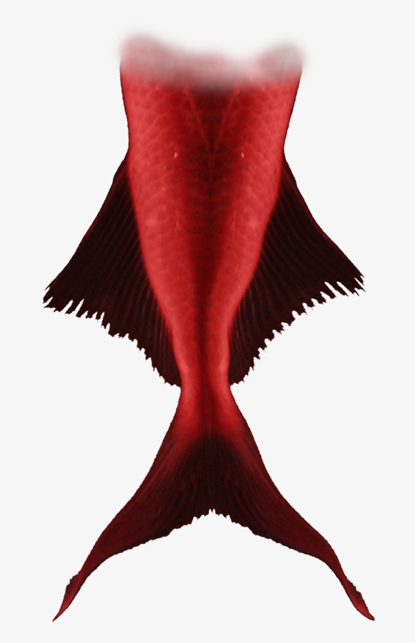 Red Merman Tail, transparent png #4338418