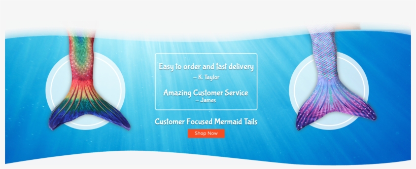 Mermaid Tails - Tail, transparent png #4338422
