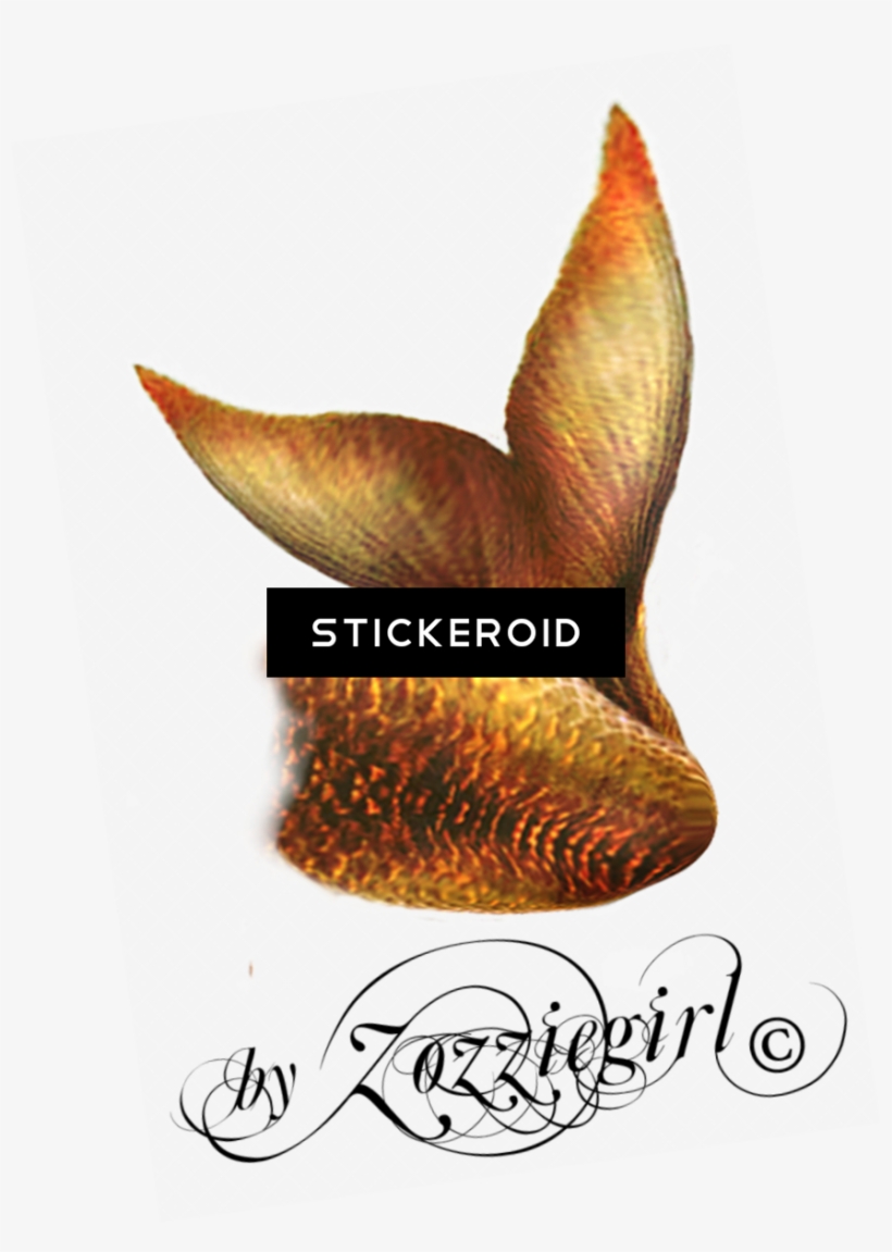 Mermaid Tail - Mermaid, transparent png #4338493