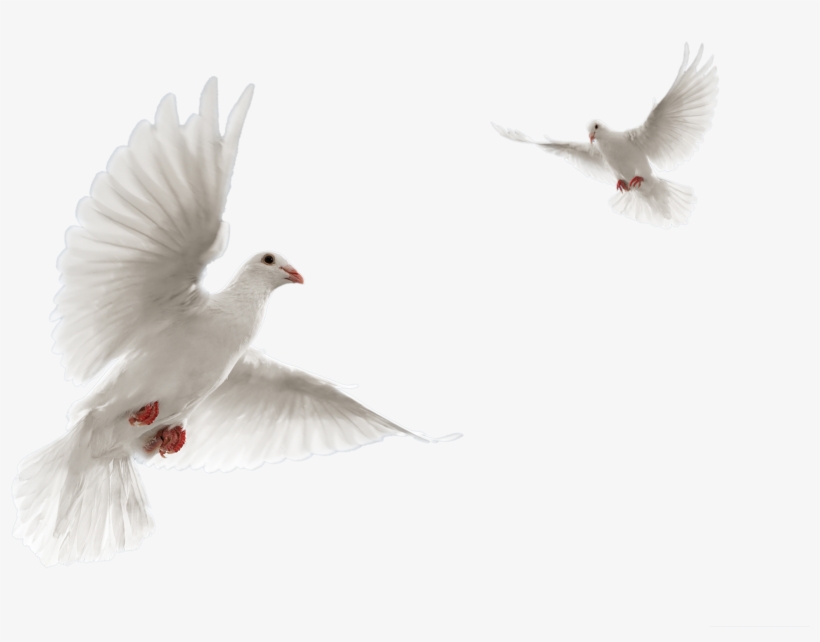 Tapash Edit Blogspot, transparent png #4341346