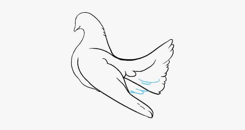 How To Draw Dove - Sketch, transparent png #4341434