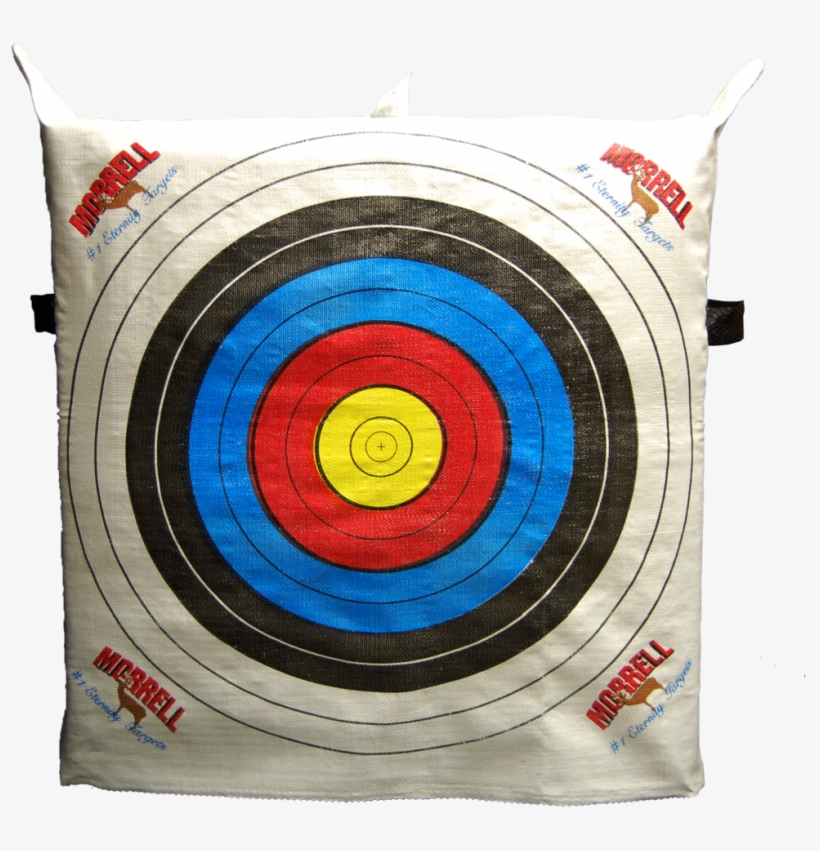 Official Nasp Eternity School Archery Target - Archery, transparent png #4341789