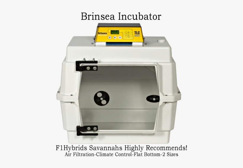 Kitten - Incubator - Brinsea Products Small Full Featured Brooder/intensive, transparent png #4343617