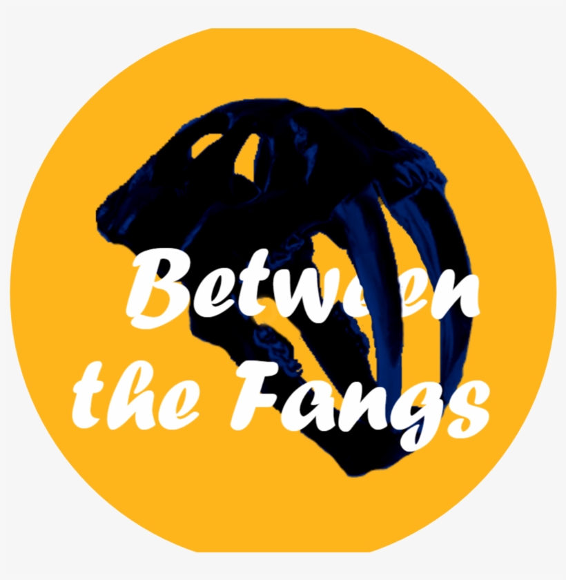 What's The Count?: Mental Plans For Pitchers, transparent png #4344673