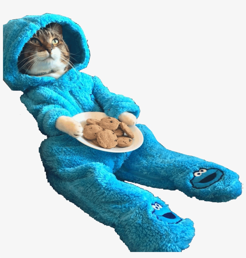 Animalcat Wearing Cookie Monster Onesie - You Re Finally Home Alone, transparent png #4345519