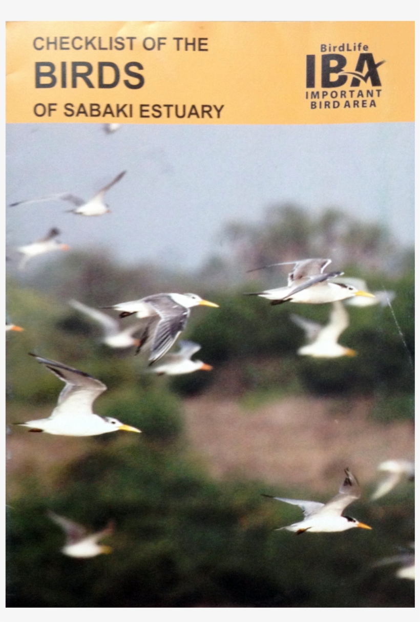 Checklist - Gull, transparent png #4346426