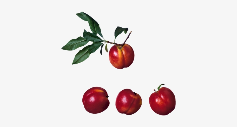 Peach Fruits Nuts - Peach, transparent png #4347250