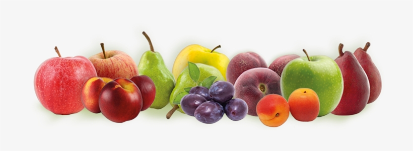 Fruit - European Fruits Png, transparent png #4347335